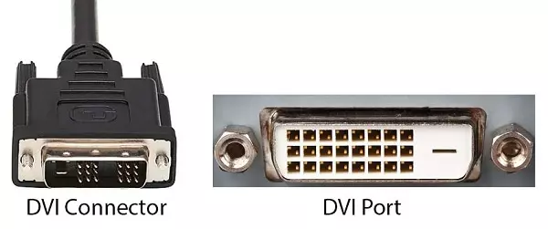 DVI Connector and Port