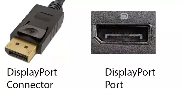 DisplayPort Connector and Port