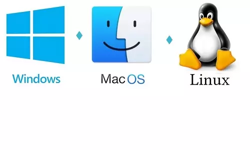 Understanding Common Operating Systems - Microsoft Windows, MacOS, and Linux